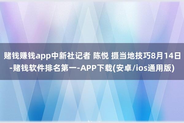 赌钱赚钱app中新社记者 陈悦 摄当地技巧8月14日-赌钱软件排名第一-APP下载(安卓/ios通用版)