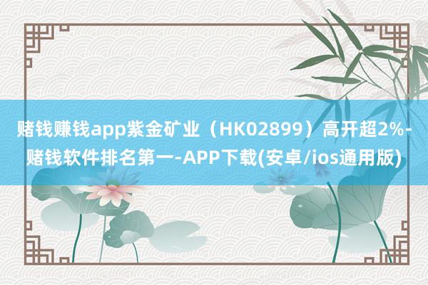 赌钱赚钱app紫金矿业(HK02899)高开超2%-赌钱软件排名第一-APP下载(安卓/ios通用版)